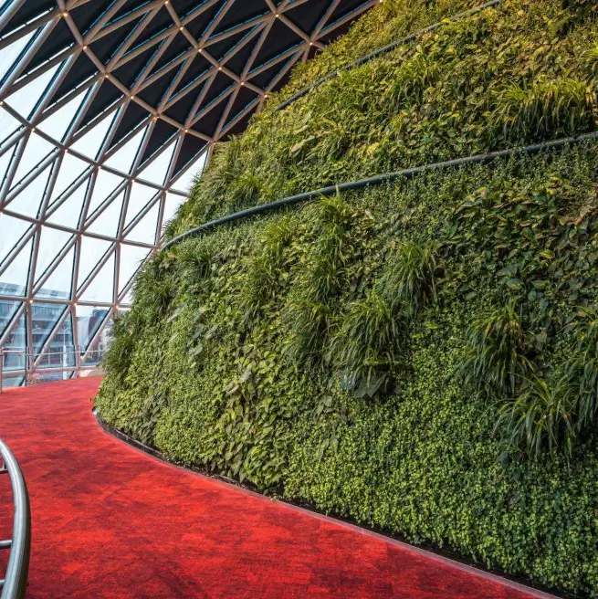 BluWater Solutions - Interior Green Wall - Knauff Square image